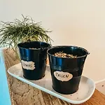 Petermuehle Urlaub Mit Alpakas * Amerang