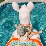 Petermuehle Urlaub Mit Alpakas *