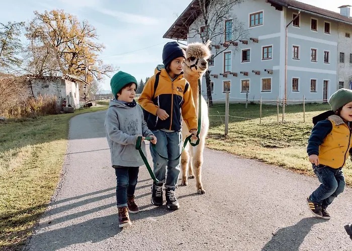 Apartmán Petermuehle Urlaub Mit Alpakas *