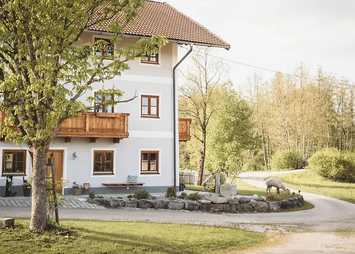 Petermuehle Urlaub Mit Alpakas Apartmán
