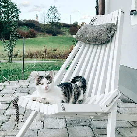 Petermuehle Urlaub Mit Alpakas * Amerang