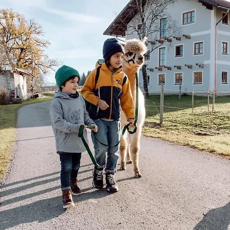 Apartment Petermuehle Urlaub Mit Alpakas *