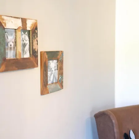 Petermuehle Urlaub Mit Alpakas Apartment