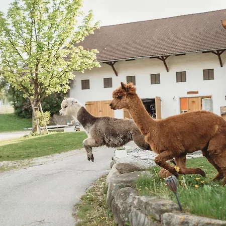 Petermuehle Urlaub Mit Alpakas
