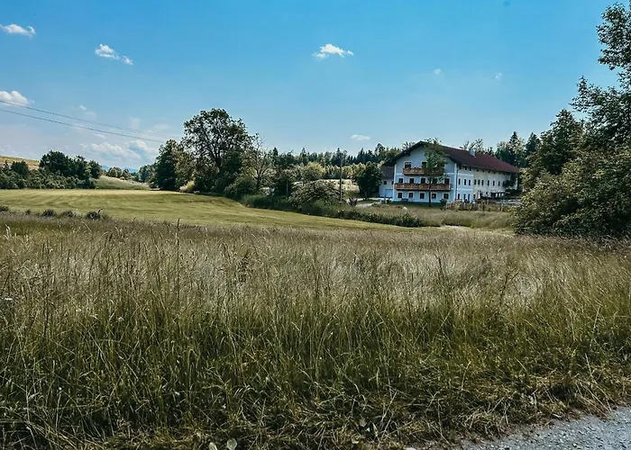 Petermuehle Urlaub Mit Alpakas Amerang