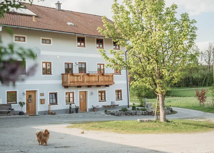 Petermuehle Urlaub Mit Alpakas Appartement *