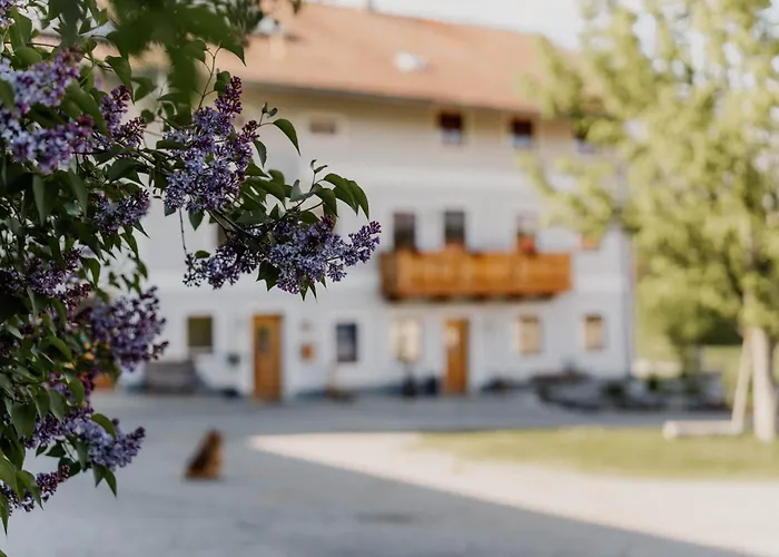 Appartement Petermuehle Urlaub Mit Alpakas Amerang